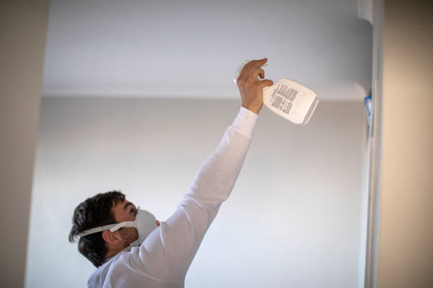 Best Same-Day Mold Removal  in Indian Hills, TX