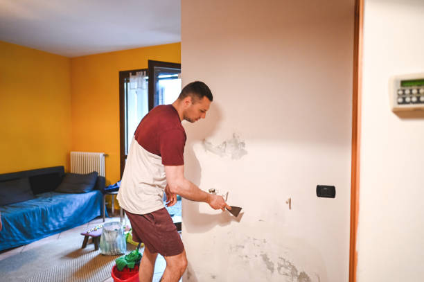 Best Crawl Space Mold Removal  in Indian Hills, TX